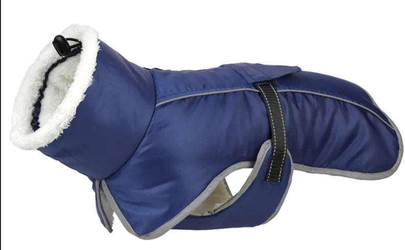 Winter Pet Clothes: Warm Waterproof Dog Walking Gear